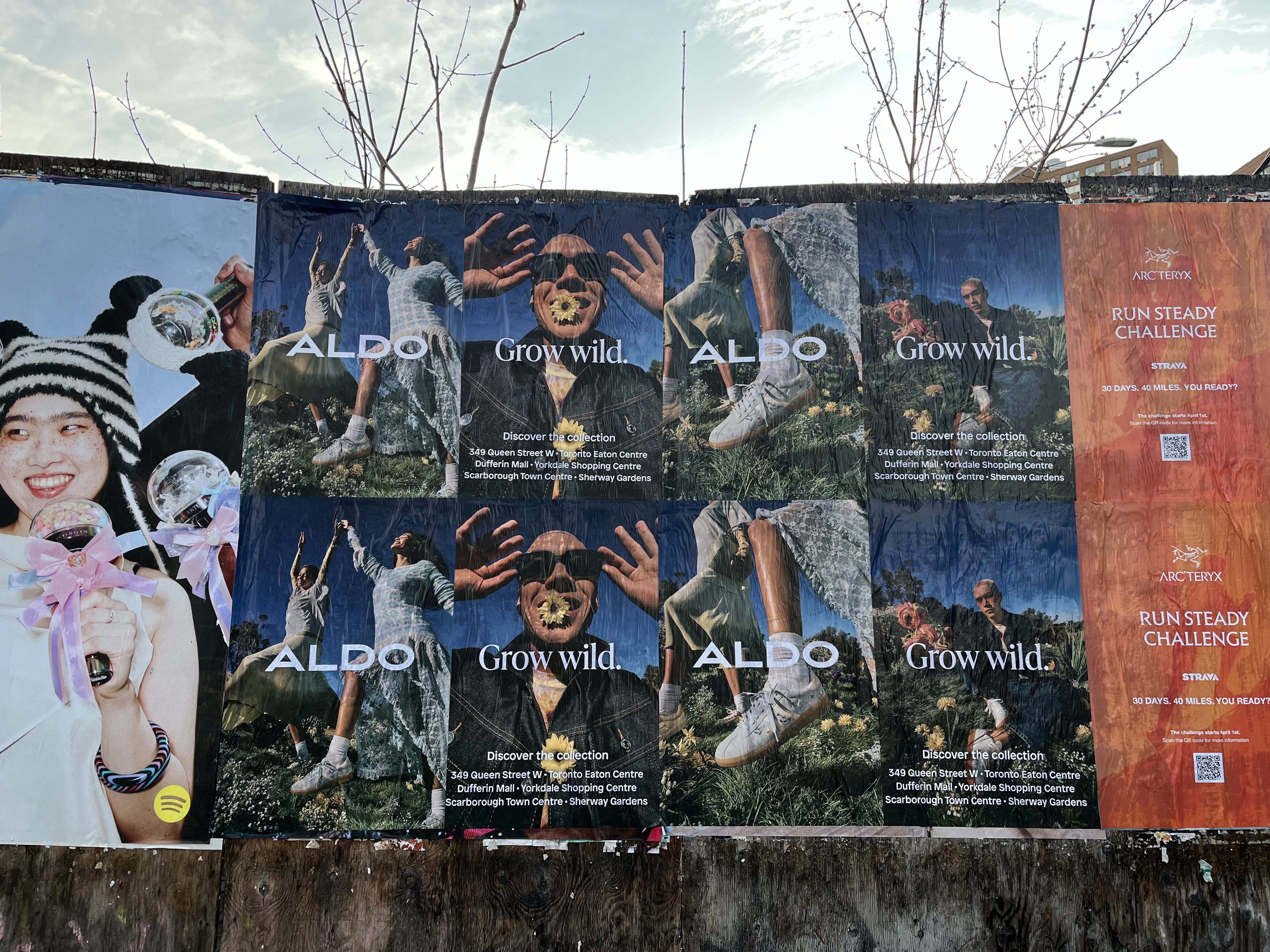 Poster 15