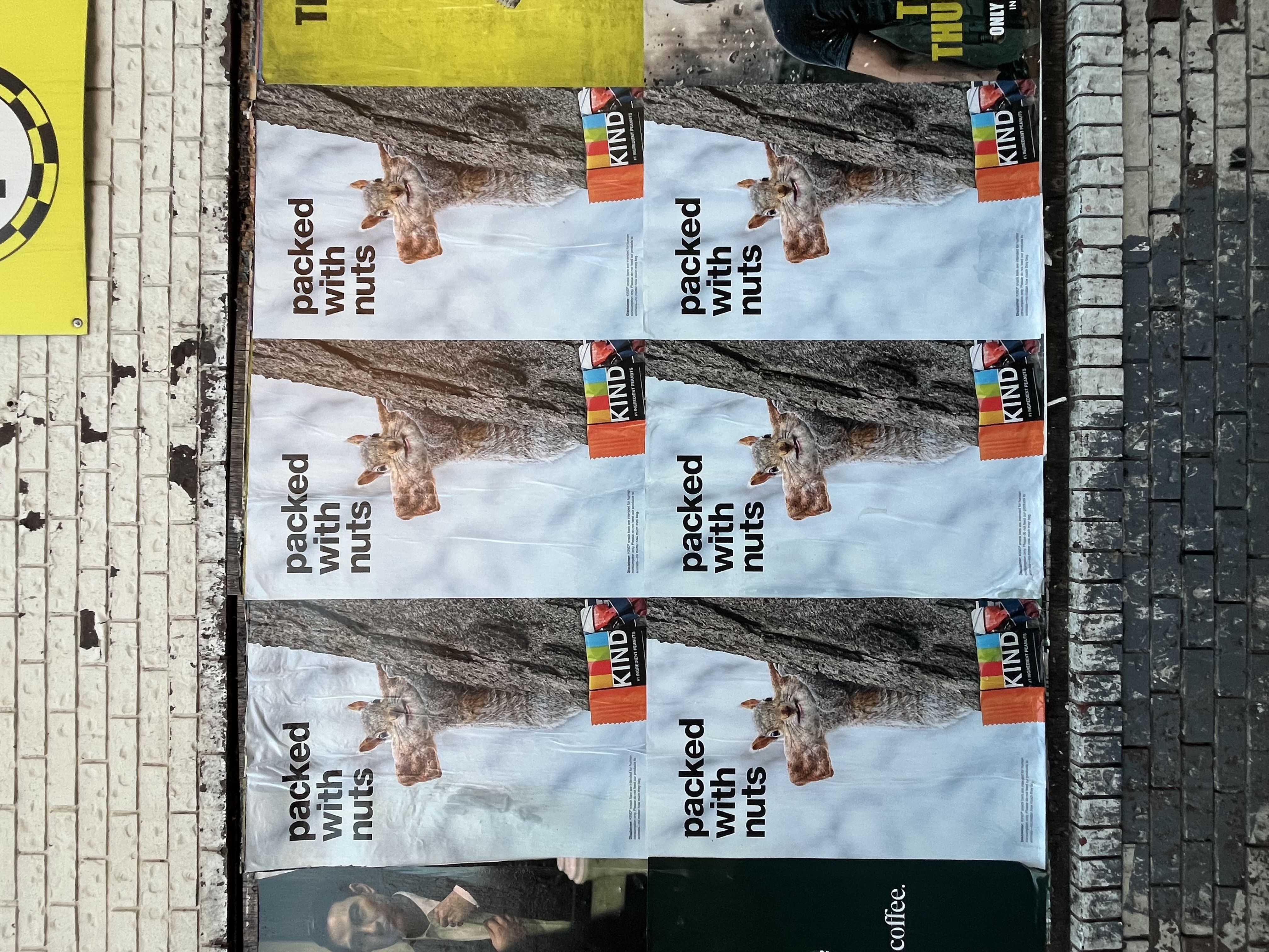 Poster 19